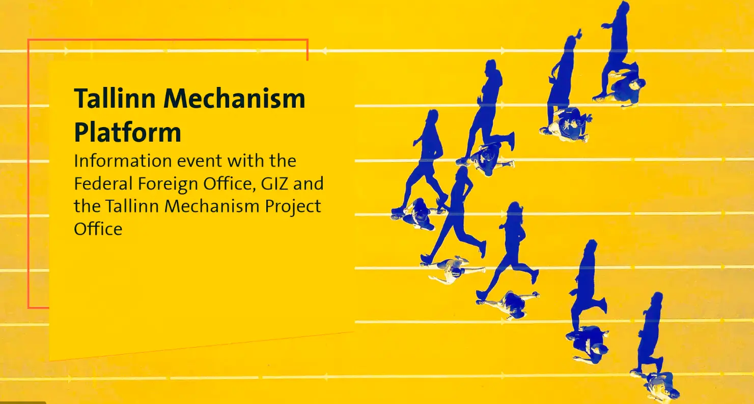 The Federal Foreign Office of Germany, GIZ and TMPO webinar for Bitkom business association preview