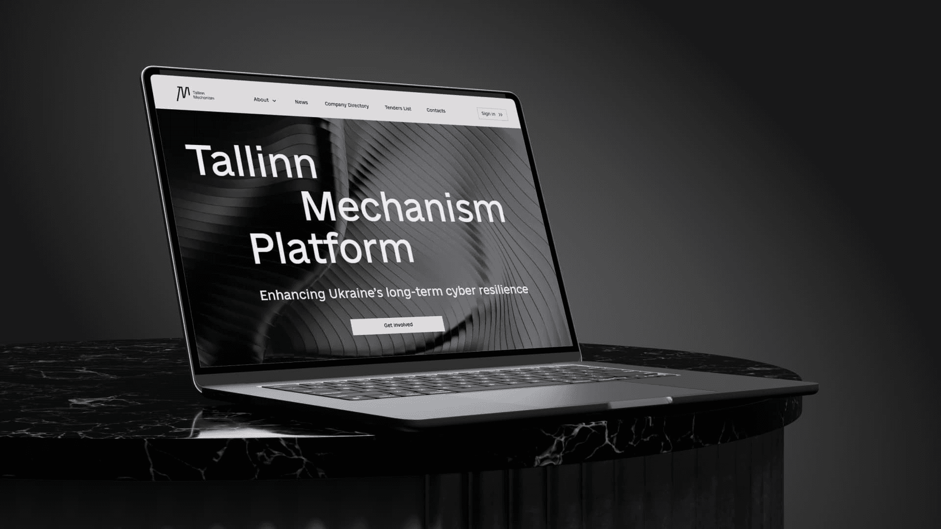 Image of Tallinn Mechanism Officially Launches Platform to Strengthen Cooperation with the Private Sector